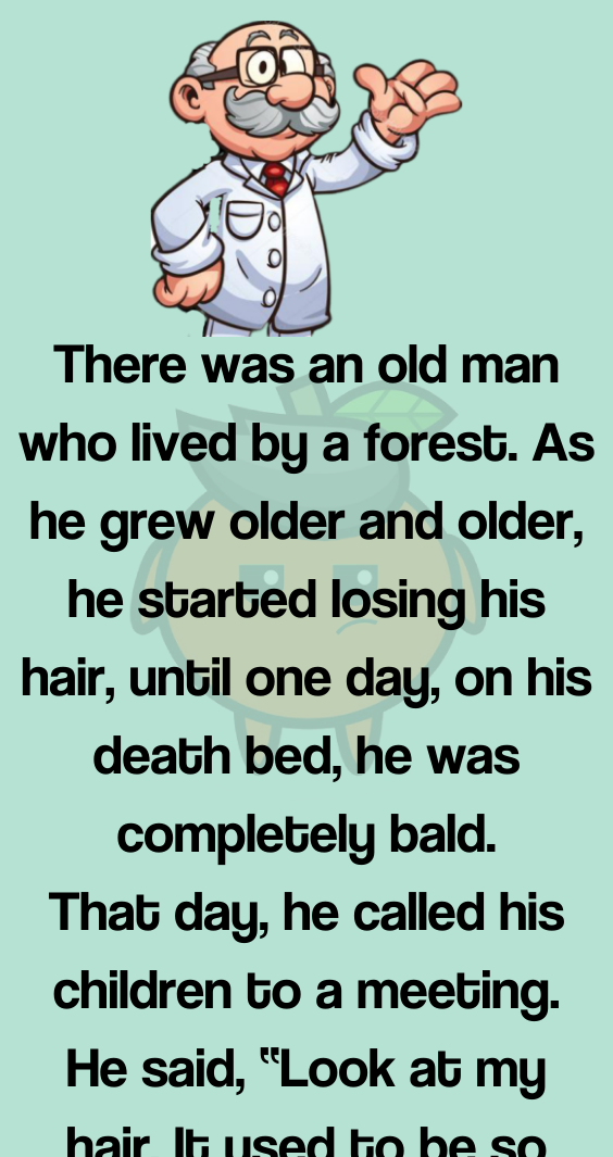 An Old Man Who Lived By A Forest - Bored Orange